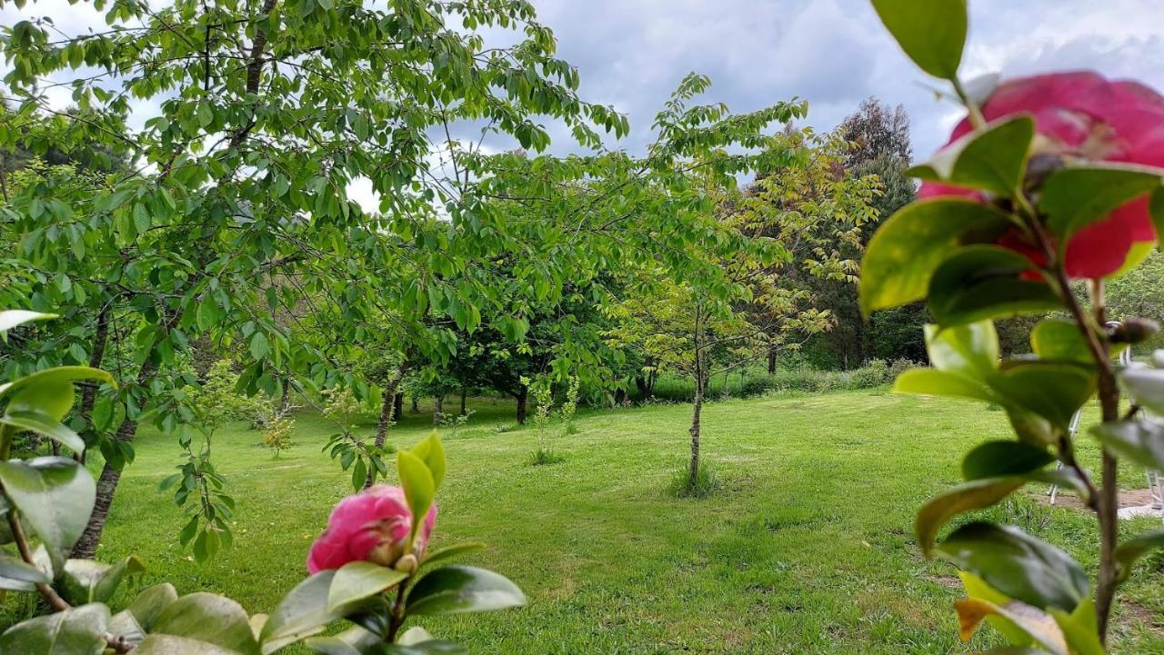 A Casa Dos Avos - Vilarino - A Coruna 外观 照片